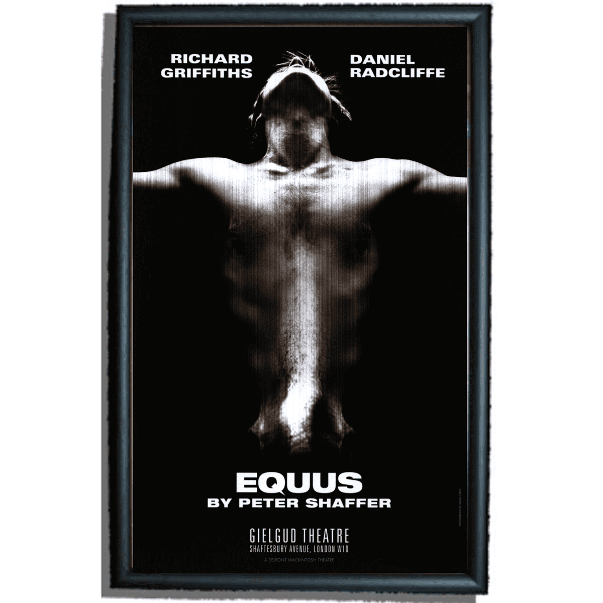 Equus Poster