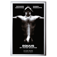Equus Poster