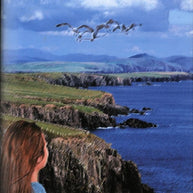 Seagulls Dance The Irish Musical Book