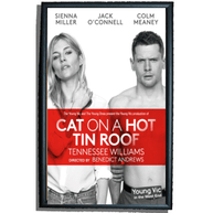 Cat On A Hot Tin Roof Poster