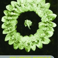 The Hollywood Musicals Reader Book